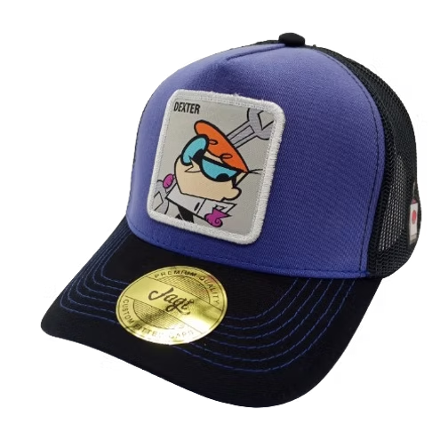 WHEN WE WERE YOUNG | DEXTER