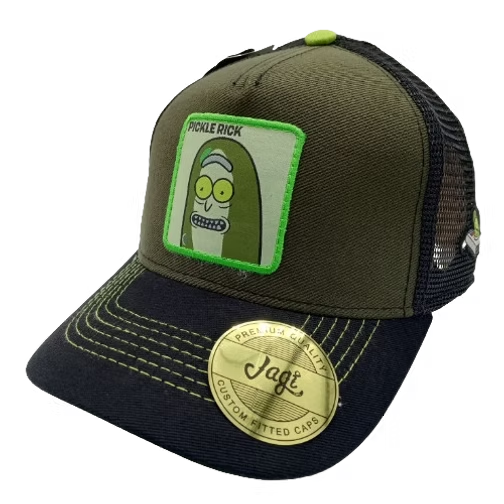 LIVE THE CRAZY LIFE | PICKLE RICK