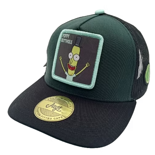 LIVE THE CRAZY LIFE | MR. POOPYBUTTHOLE