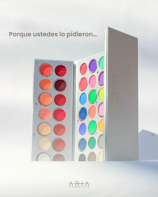 PALETA CON 49 COLORES ILUMINADOR Y RUBOR ARIA
