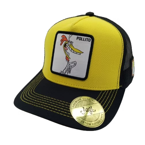 WHEN WE WERE YOUNG | POLLITO