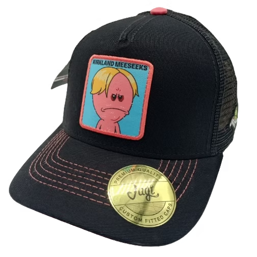 LIVE THE CRAZY LIFE | SR. MEESEEKS