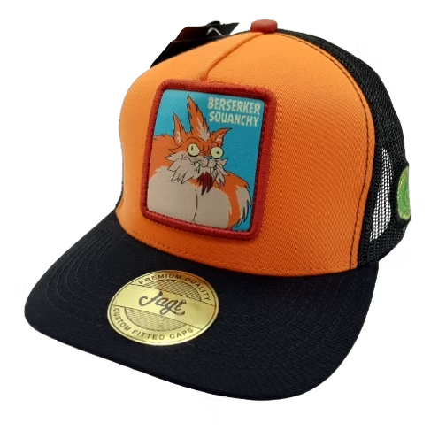 LIVE THE CRAZY LIFE | SQUANCHY