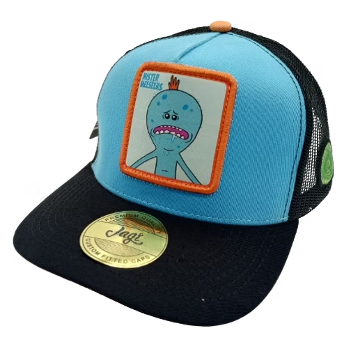 LIVE THE CRAZY LIFE | SR. MEESEEKS
