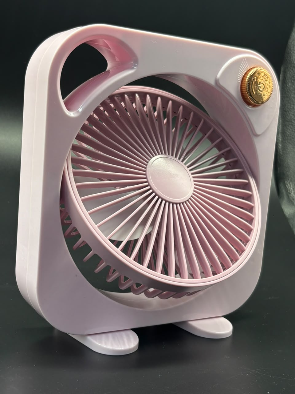 Ventilador de Escritorio Portátil Chic